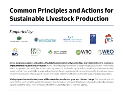 Common Principles Common Principles