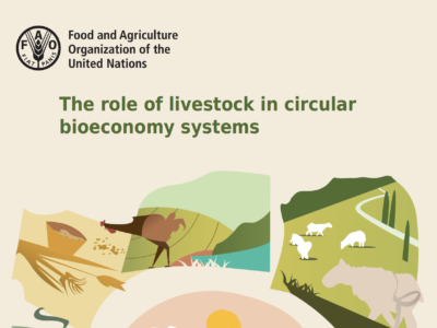 Circula Bioeconomy FAO Circula Bioeconomy FAO